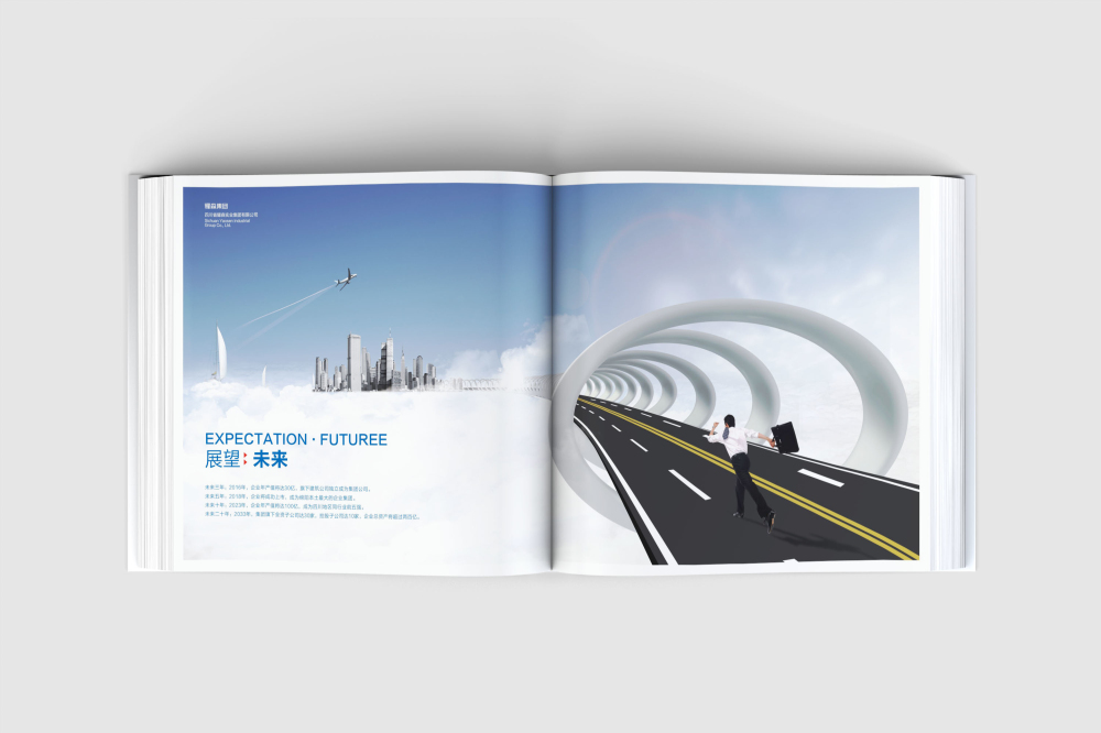 闸北区画册设计